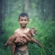 anak kecil membawa kambing di hutan