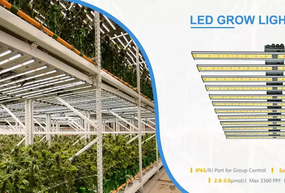 lampu LED khusus tanaman indoor