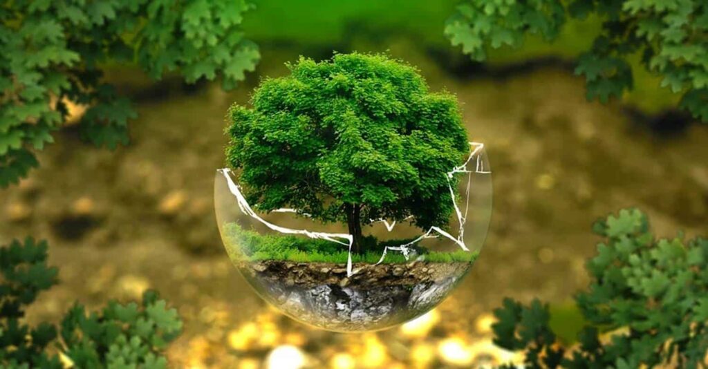 Cara Anda Menghemat Uang & Lingkungan 1 lingkungan hutan pohon rindang di dalam kaca pecah